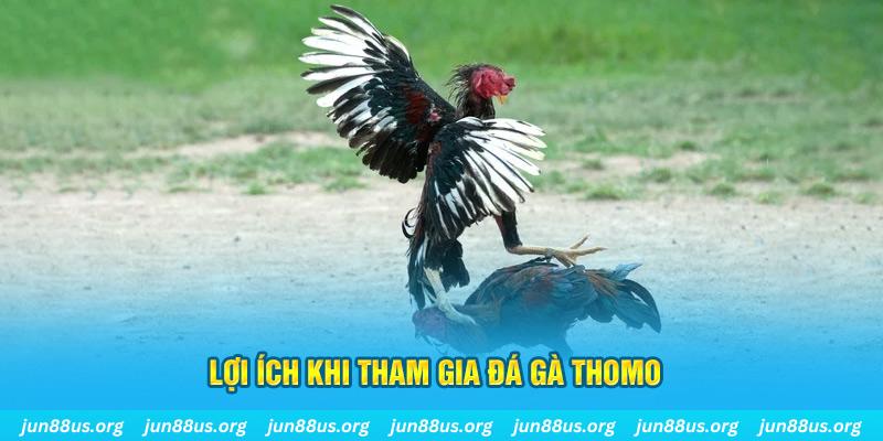 bong da 88 sòng bạc Đăng nhập